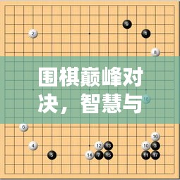 围棋巅峰对决，智慧与策略的一次性精彩较量