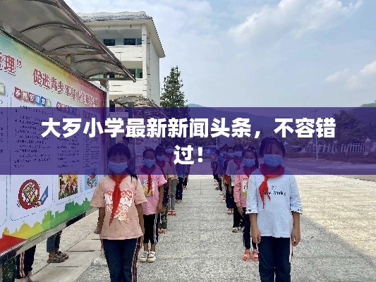 大歹小学最新新闻头条，不容错过！