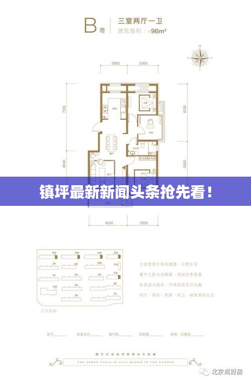 镇坪最新新闻头条抢先看！