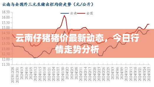 云南仔猪猪价最新动态，今日行情走势分析