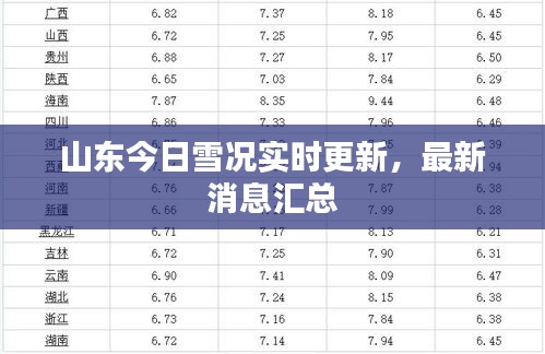 山东今日雪况实时更新，最新消息汇总