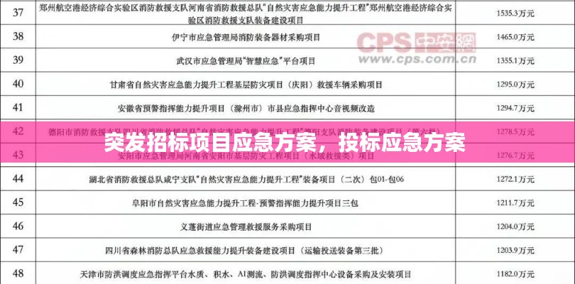 突发招标项目应急方案，投标应急方案 