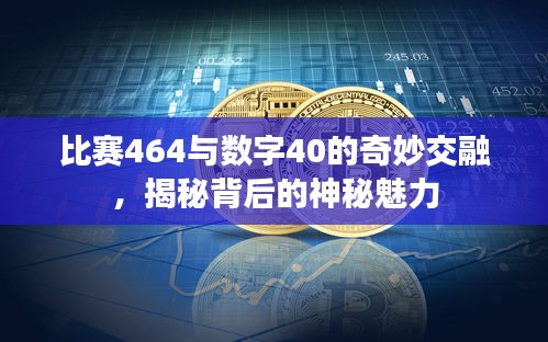 比赛464与数字40的奇妙交融，揭秘背后的神秘魅力