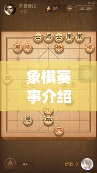 象棋赛事介绍，精彩对决，一触即发