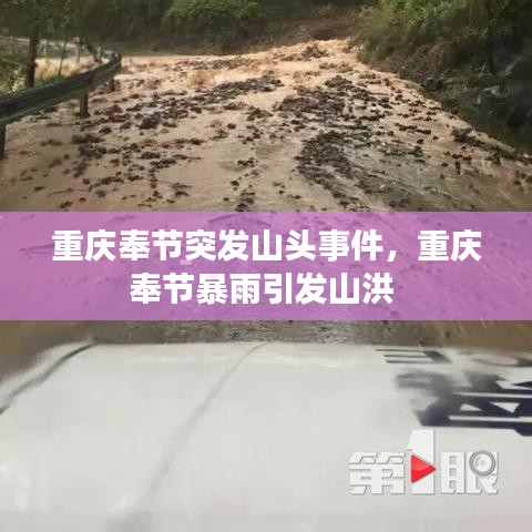 重庆奉节突发山头事件，重庆奉节暴雨引发山洪 