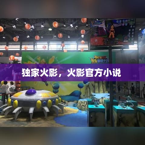 独家火影，火影官方小说 