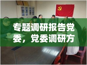 专题调研报告党委，党委调研方案 