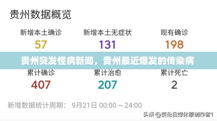 贵州突发怪病新闻，贵州最近爆发的传染病 