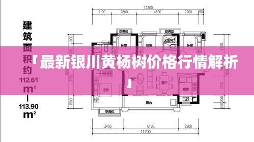 「最新银川黄杨树价格行情解析」