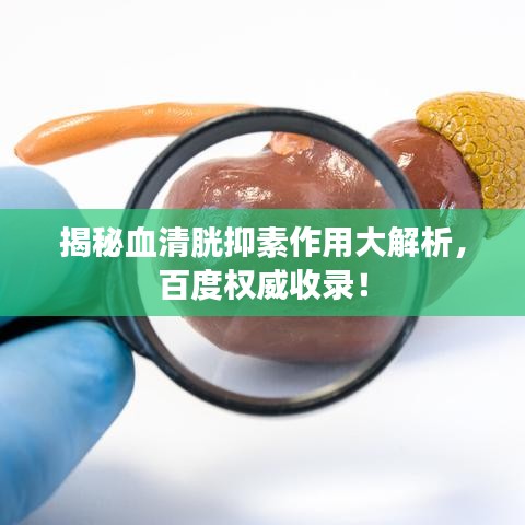 揭秘血清胱抑素作用大解析，百度权威收录！