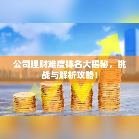 公司理财难度排名大揭秘，挑战与解析攻略！