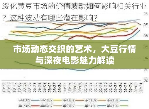 市场动态交织的艺术，大豆行情与深夜电影魅力解读