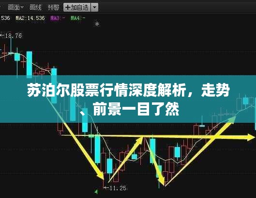 2025年5月5日