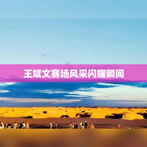 王斌文赛场风采闪耀瞬间