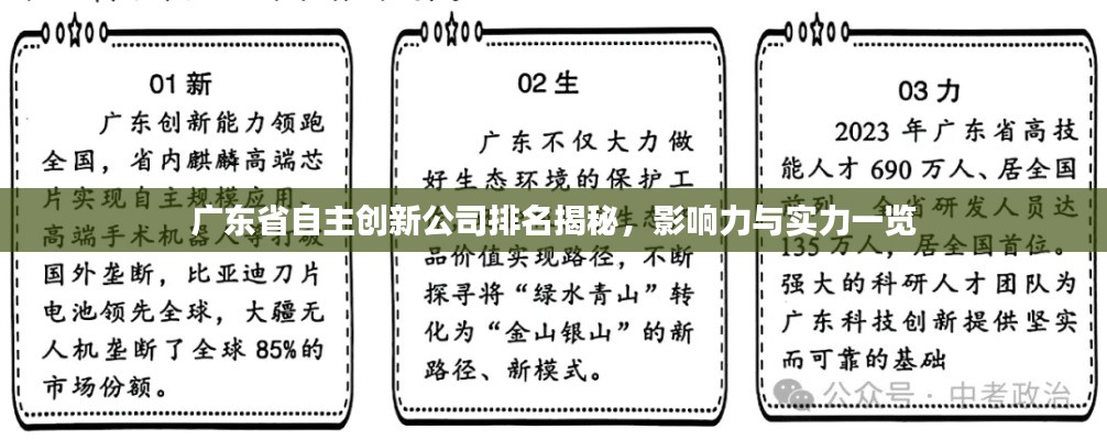 广东省自主创新公司排名揭秘，影响力与实力一览