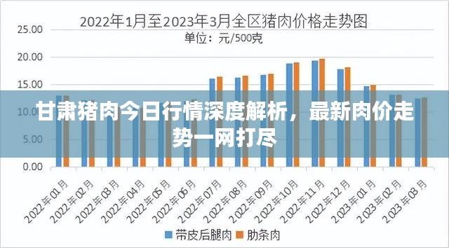 甘肃猪肉今日行情深度解析，最新肉价走势一网打尽