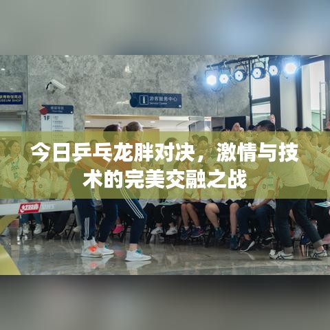 今日乒乓龙胖对决，激情与技术的完美交融之战