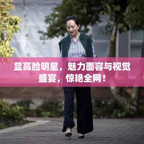 显高脸明星，魅力面容与视觉盛宴，惊艳全网！