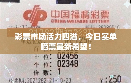 彩票市场活力四溢，今日实单晒票最新希望！