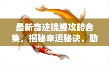 最新奇迹锦鲤攻略合集，揭秘幸运秘诀，助您成为锦鲤大师！