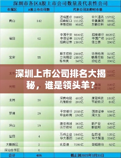 深圳上市公司排名大揭秘，谁是领头羊？