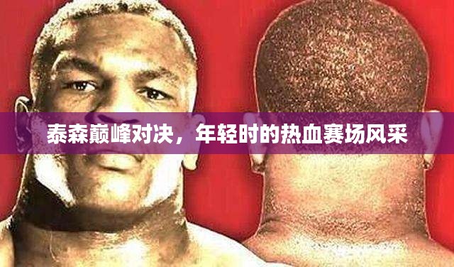 泰森巅峰对决，年轻时的热血赛场风采