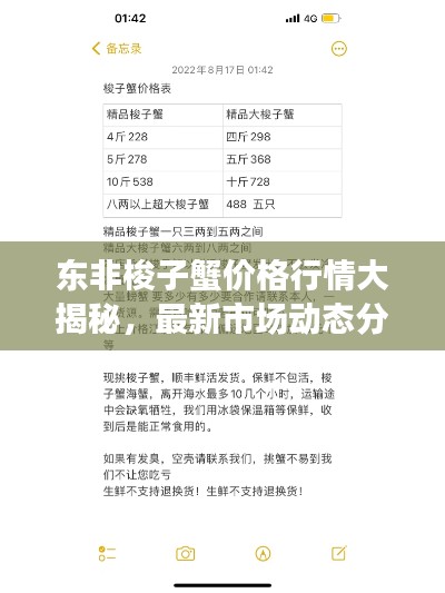 2025年6月29日 第2页