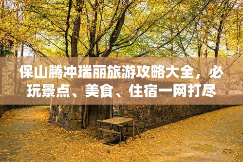 2025年6月30日 第4页