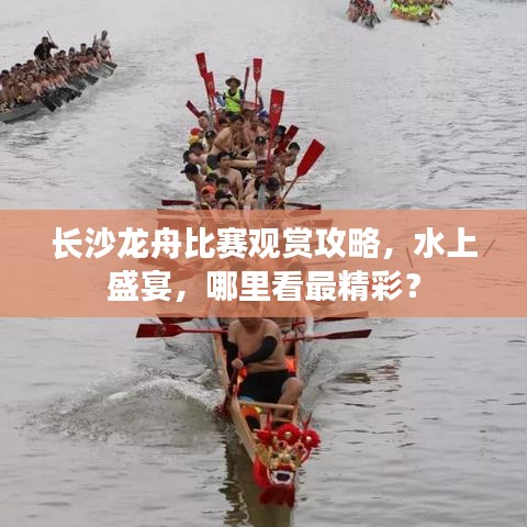 长沙龙舟比赛观赏攻略，水上盛宴，哪里看最精彩？